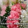 марина аллоярова